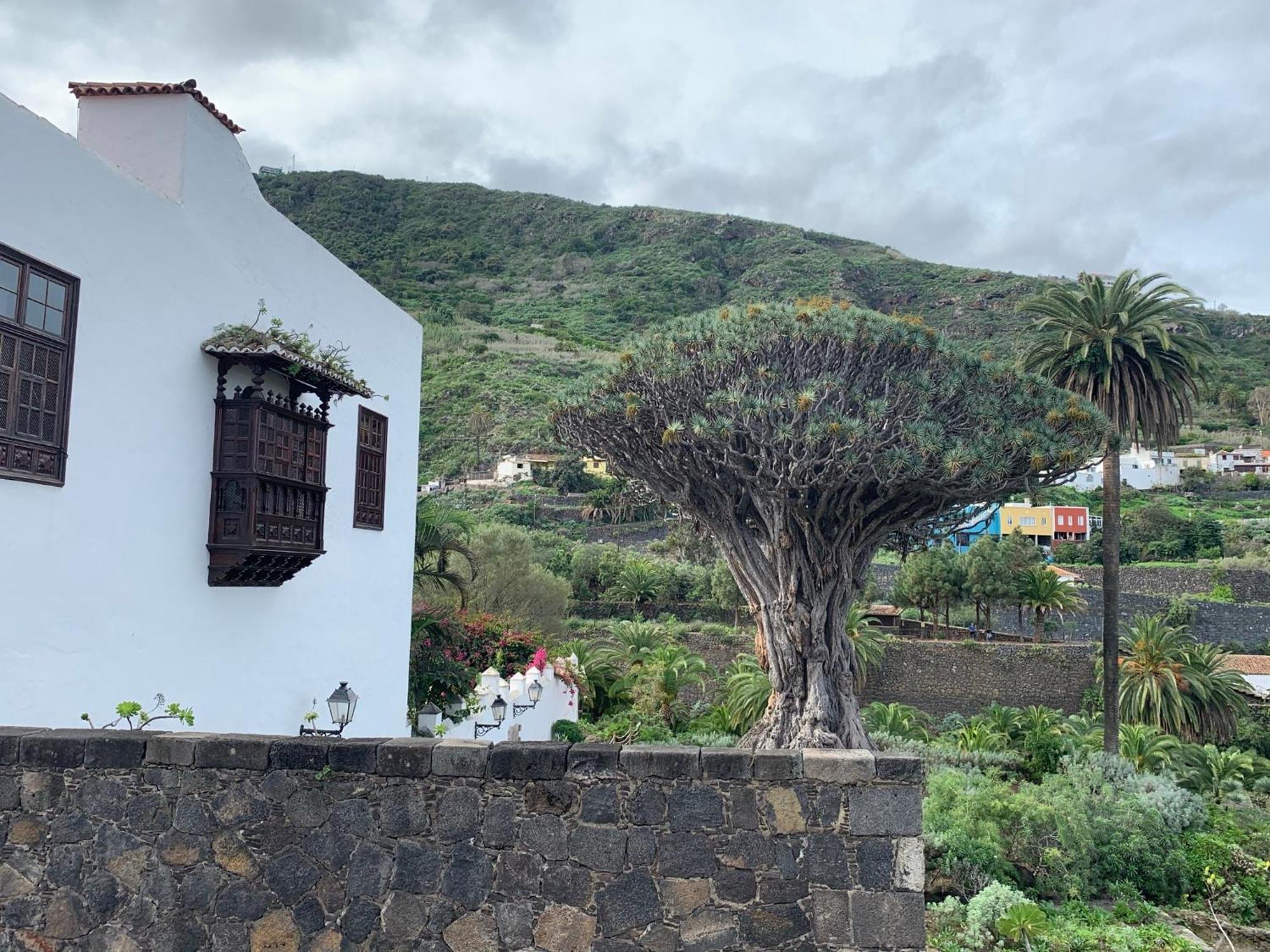Casa La Baja Villa Garachico  Exterior photo